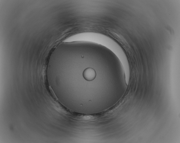 X0000113550409200910091308