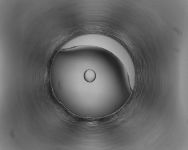 X0000113550411200910091308