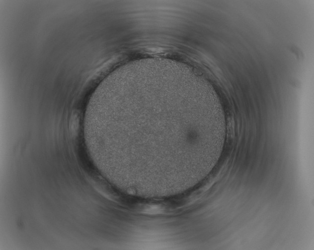 X0000113550412200910091308