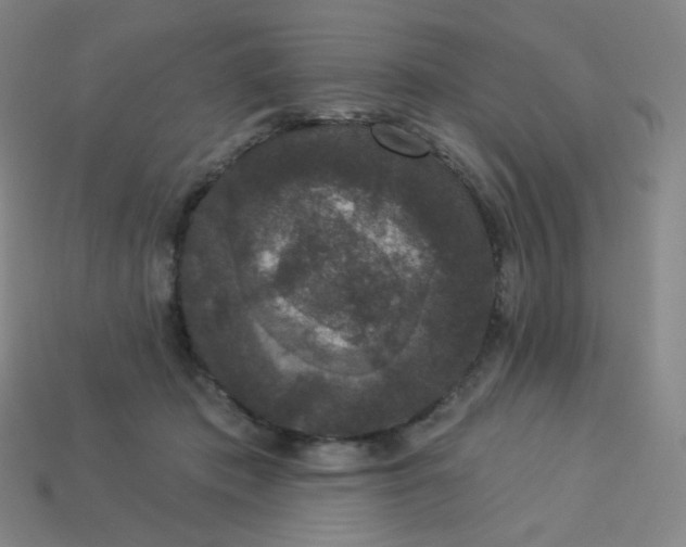 X0000113550413200910091308