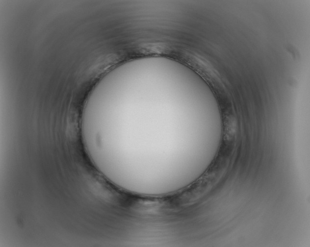 X0000113550414200910091308