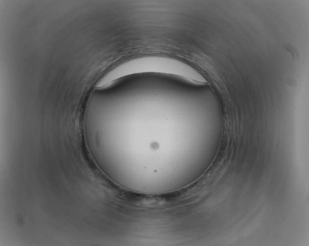 X0000113550415200910091308