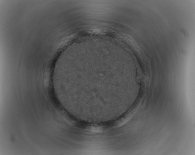 X0000113550416200910091308