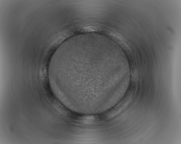 X0000113550418200910091308