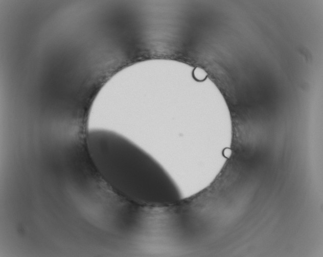 X0000113550419200910091308