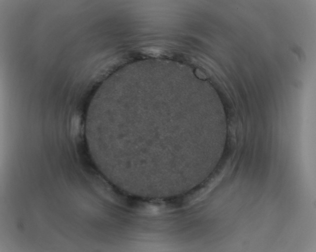 X0000113550420200910091308