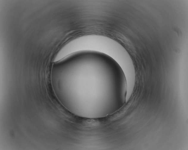 X0000113550421200910091308