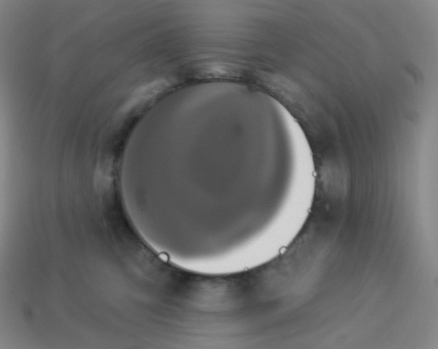 X0000113550423200910091308