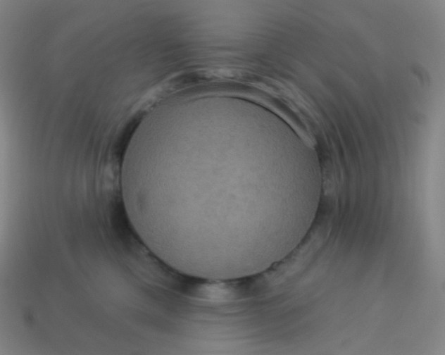 X0000113550425200910091308