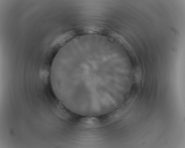 X0000113550427200910091308