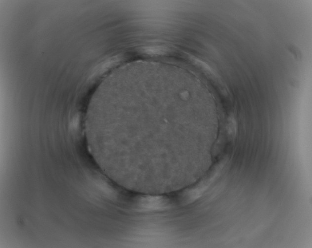 X0000113550428200910091308