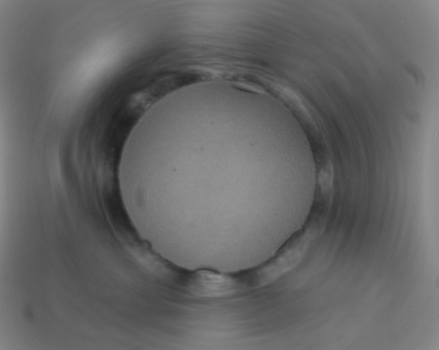 X0000113550429200910091308