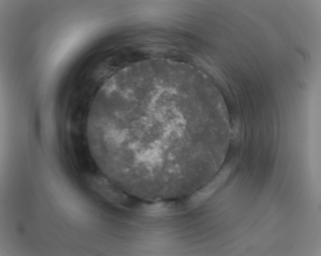 X0000113550430200910091308