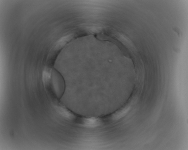 X0000113550432200910091308