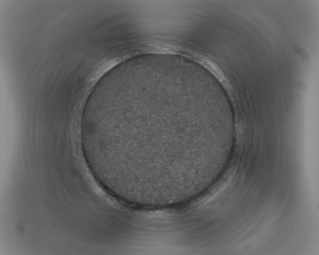 X0000113550433200910091307