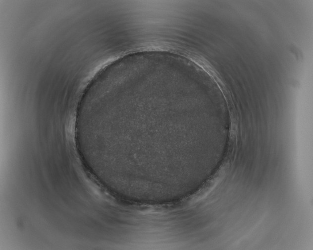 X0000113550434200910091307