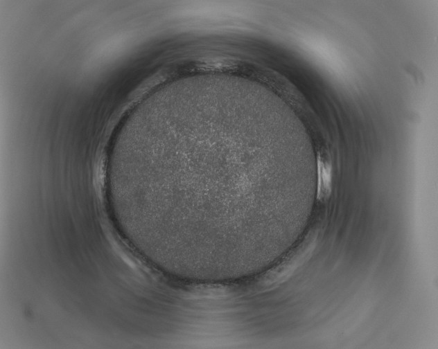 X0000113550435200910091307