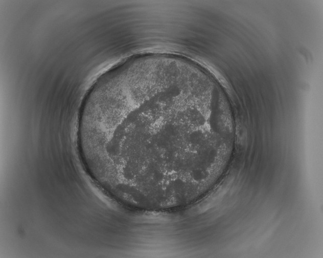 X0000113550437200910091307