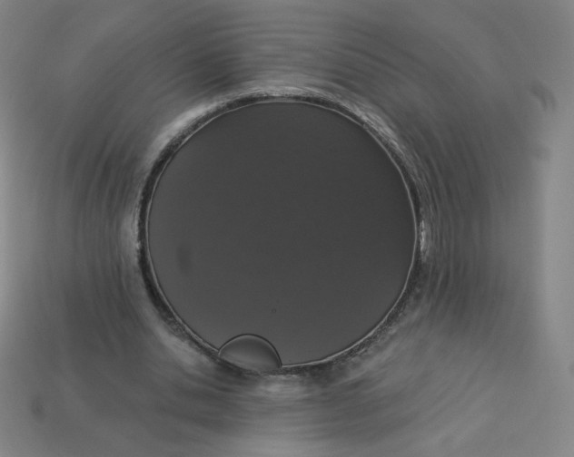 X0000113550438200910091307