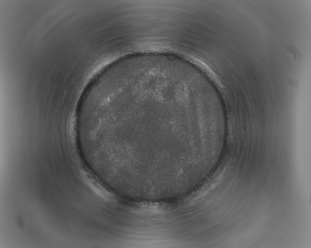 X0000113550439200910091307