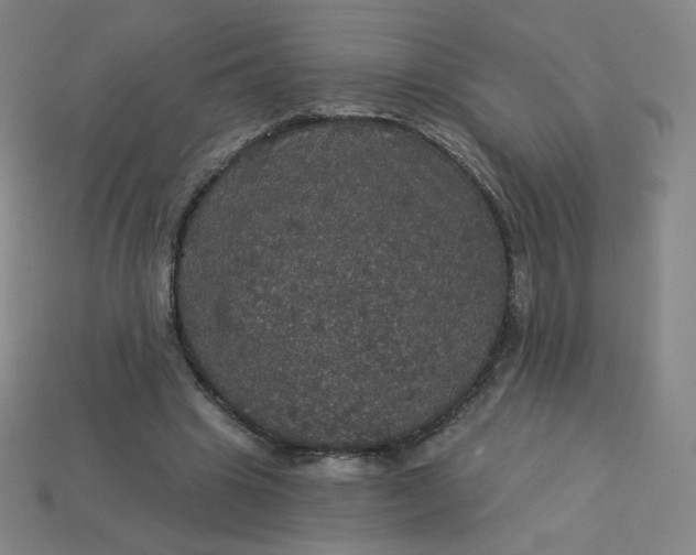 X0000113550441200910091307