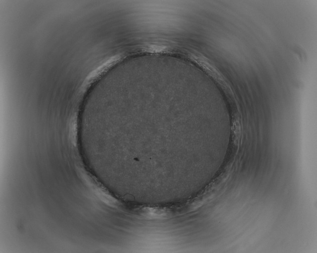 X0000113550442200910091307