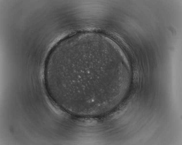 X0000113550443200910091307