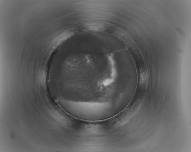 X0000113550444200910091307