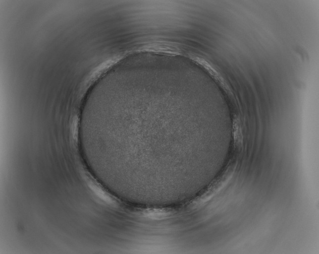 X0000113550445200910091307