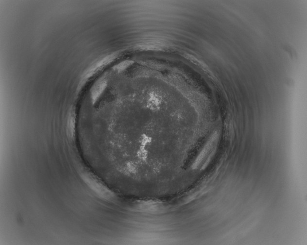 X0000113550446200910091307