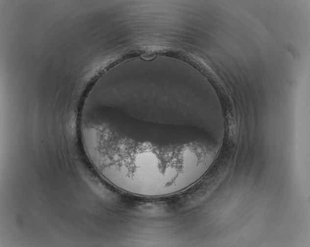 X0000113550447200910091307