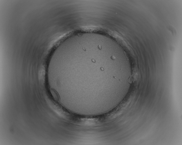 X0000113550448200910091307