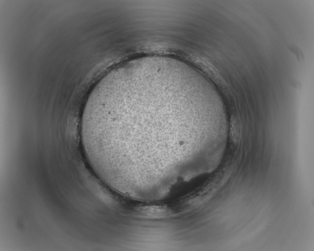 X0000113550449200910091307