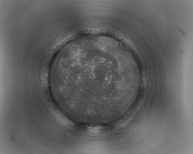 X0000113550450200910091307