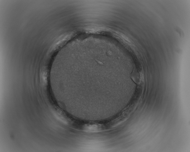 X0000113550452200910091307