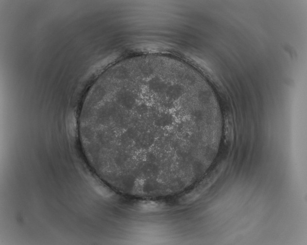 X0000113550453200910091307