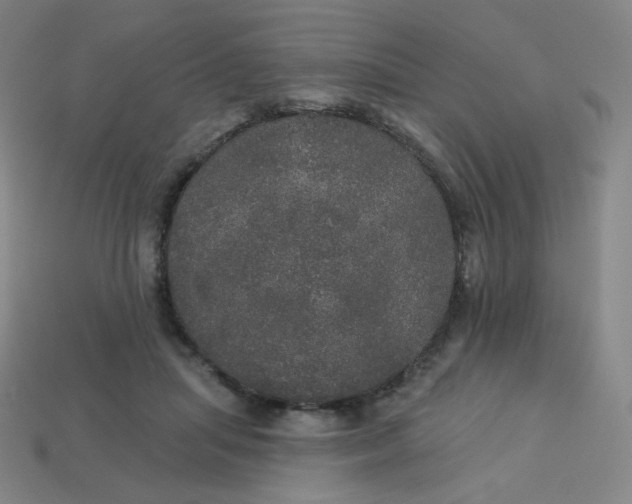 X0000113550455200910091307