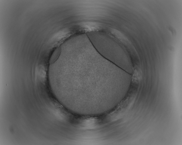 X0000113550456200910091307