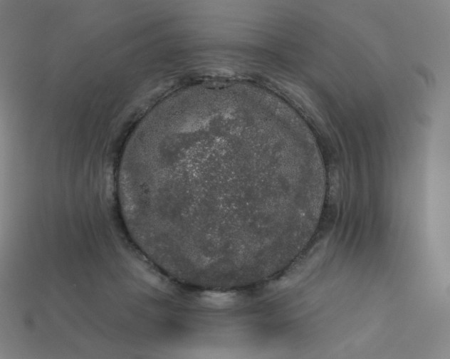 X0000113550457200910091307