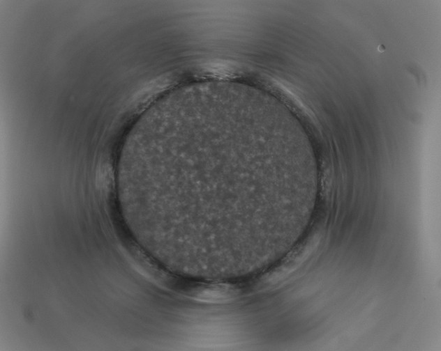 X0000113550459200910091307