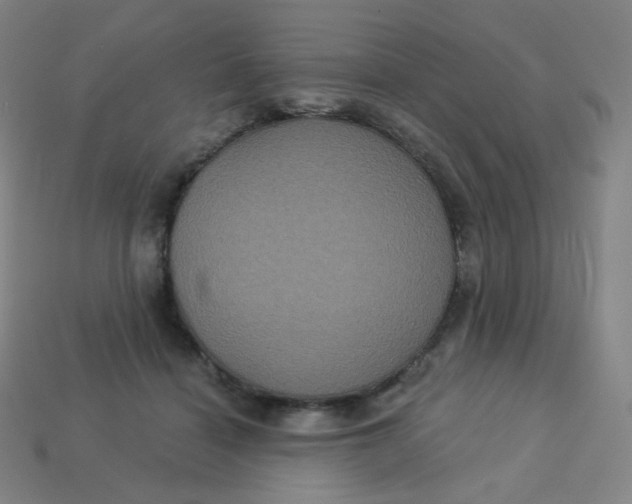 X0000113550460200910091307