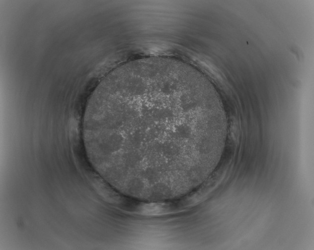 X0000113550461200910091307