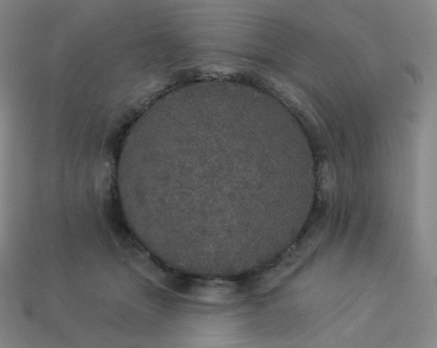 X0000113550463200910091307