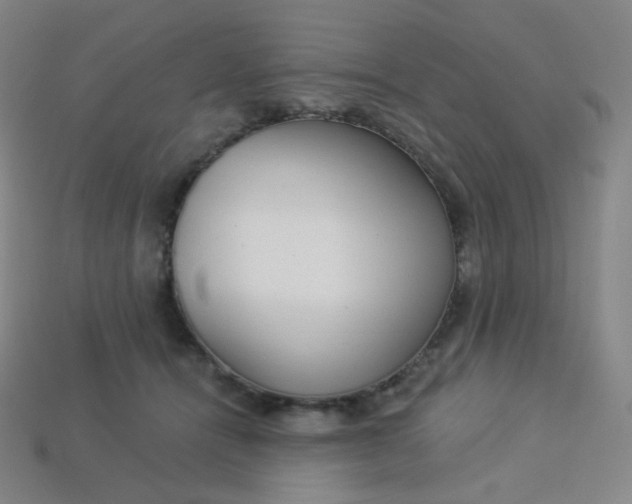 X0000113550464200910091307