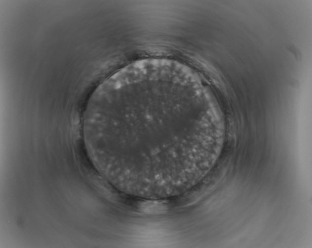 X0000113550465200910091307