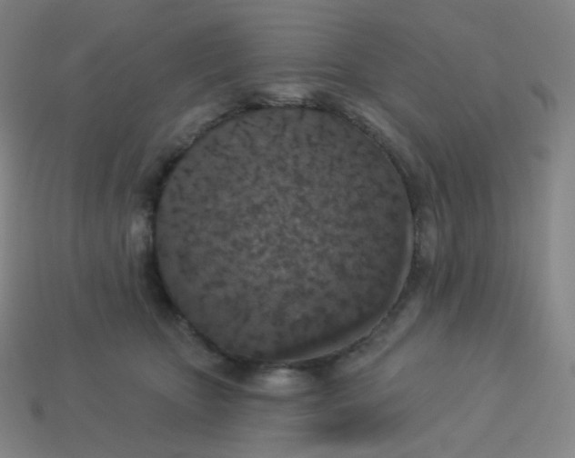 X0000113550467200910091307