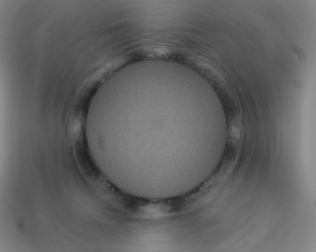 X0000113550468200910091307