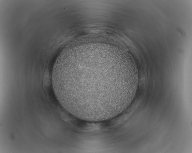 X0000113550469200910091308