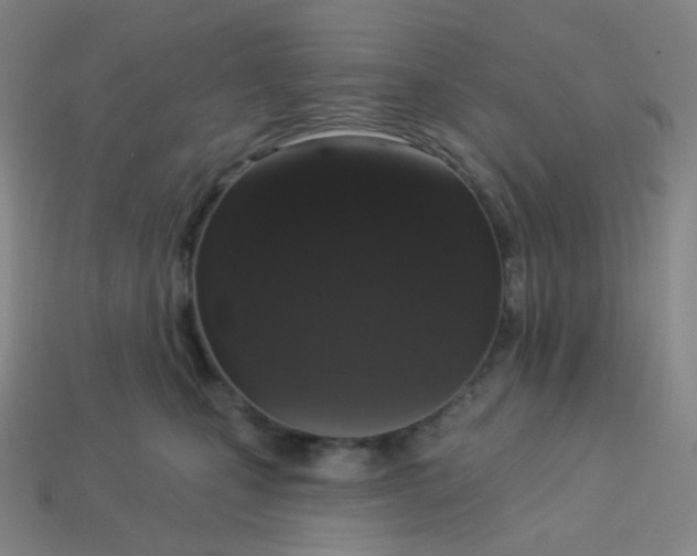 X0000113550471200910091308