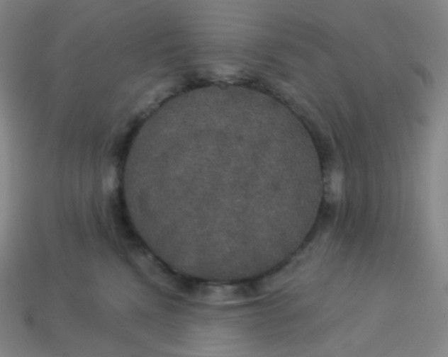 X0000113550472200910091308